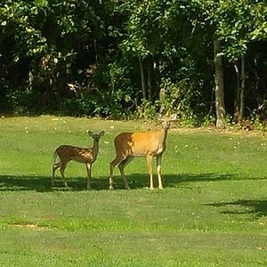 Meet your Posher, Kenneth